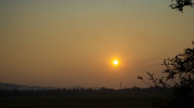Kaziranga Ulusal Parkı Assam Hindistan 'daki bitki ve ağaçlarla akşam manzarası