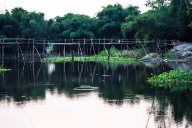 Golaghat Assam 'daki nehirde geçici bambu köprüsü. Geçici bir yürüyüş yolu.