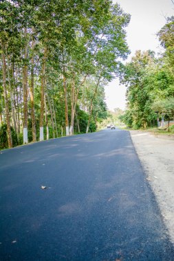 Kaziranga 'da ulusal otoyol, Golaghat, Assam