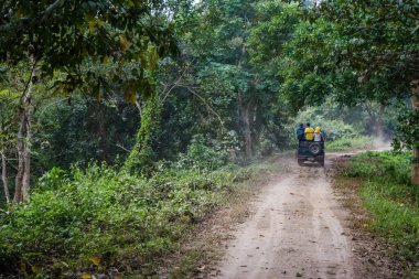 Hindistan 'daki Kaziranga Ulusal Parkı' nda ağaçlar ve otlaklarla çevrili toprak yol..