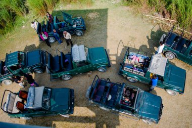 Kaziranga, Assam, India on 13 Nov 2014 - Aerial view of Tourists wating in Jeep for one horned big rhinoceros  in the forests of Kaziranga National Park, Assam, Northeast, India