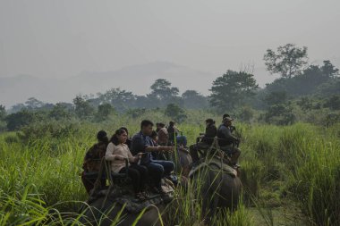 Kaziranga, Assam, Hindistan 14 Kasım 2014 - Kaziranga Ulusal Parkı 'nın yemyeşil ormanlarında fil Safari' sinin tadını çıkaran turistler, Assam, Kuzeydoğu, Hindistan