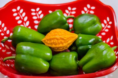 yellow bitter gourd between green capsicum with isolated background, odd one out