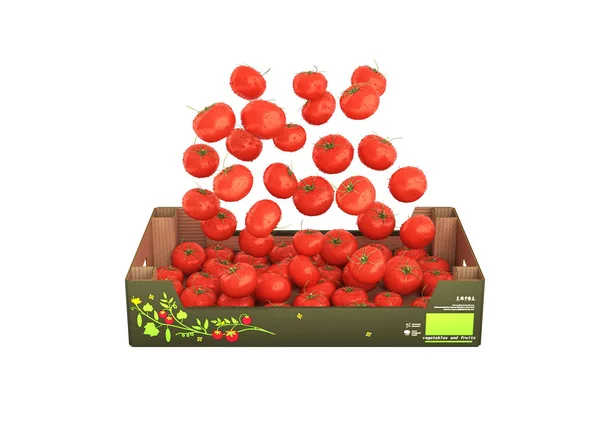 Tomatoes fall into the box without shadow on white background 3d — Stock Photo, Image