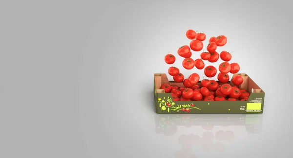 Tomatoes fall into the box isolated on grey gradient background — Stock Photo, Image