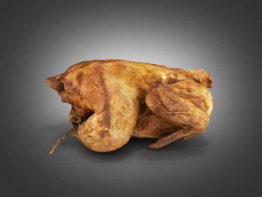 kavrulmuş tavuk yan görünümü gri degrade arka plan üzerinde izole 3