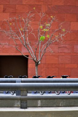 Kırmızı duvarın önüne park et.