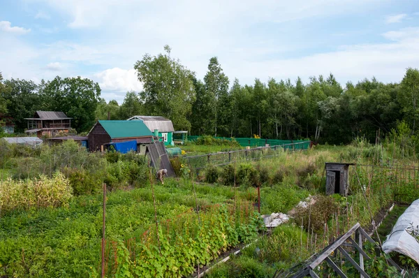 Quartiere Cottage Campagna Una Giornata Estiva — Foto Stock