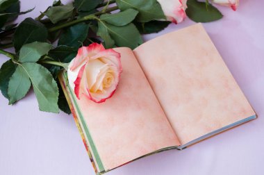 Açık sarı-kırmızı güller ve pembe arka planda boş notlar