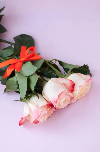 Bouquet of light yellow-red roses tied with orange ribbon on pink backgroun