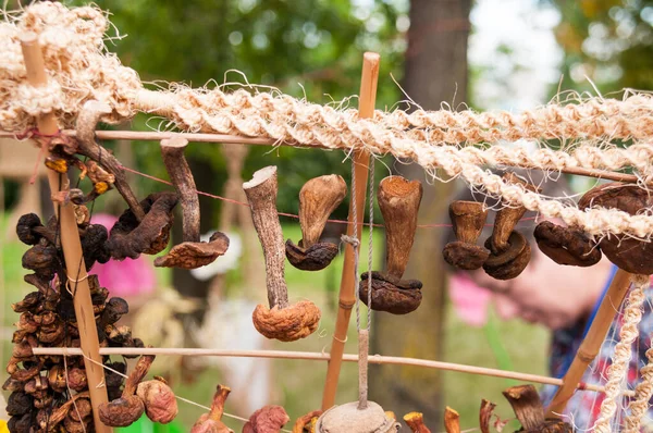 Kurutulmuş mantarlar bir ipe tutunur.