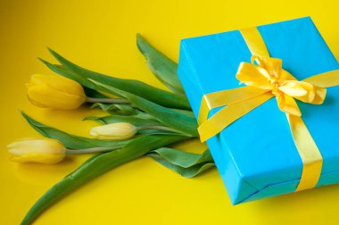 Mavi kulübe, sarı arka planda şenlikli bir kurdele ve lalelerle bağlı.