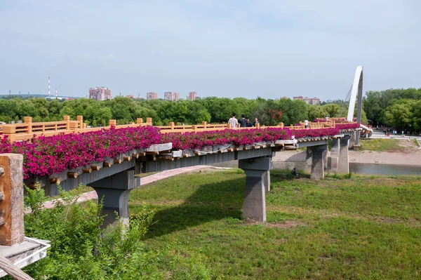 China Heihe Julio 2019 Puente Parque Terraplén Ciudad Heihe Verano — Foto de Stock