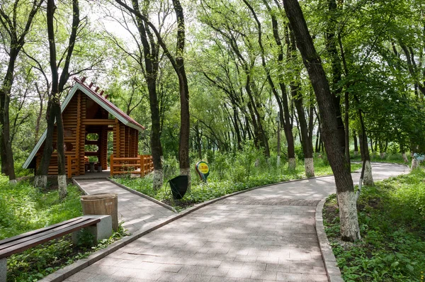Chine Heihe Juillet 2019 Une Maison Vacances Bois Dans Parc — Photo