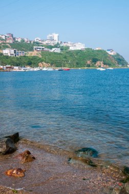 Deniz manzaralı yaz öğleden sonra, deniz kenarı bölgesi, Vladivostok şehri.