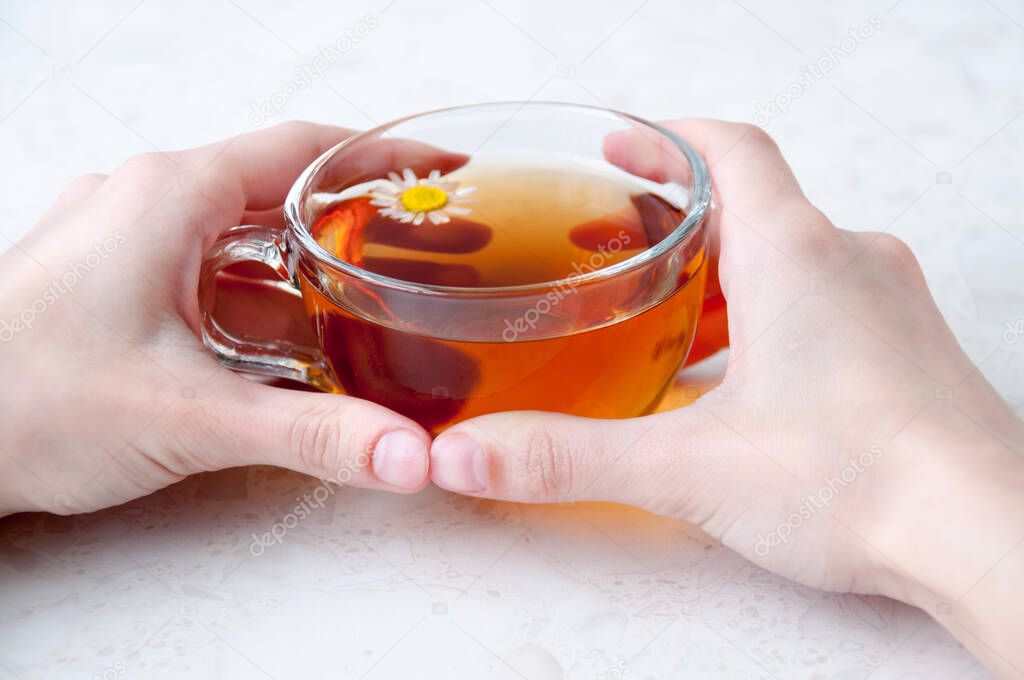 Hands holding a Cup of chamomile tea on the table