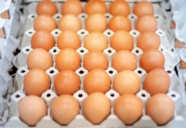 Full fresh eggs of paper tray from hen farm in the package that preserved for sale in wholesale and retail market.