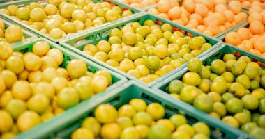 Portakal yığını toptan müşteriler ve alışverişçiler için tepsiye konur. Süpermarkette stoklama için seçin ve hazırlayın.. 