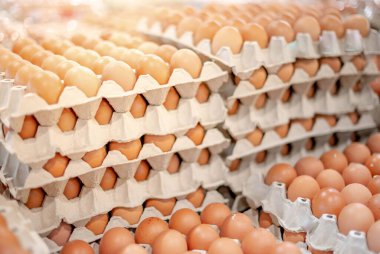 Tavuk çiftliğinden taze yumurta tepsisi toptan ve perakende pazarda satışa sunulan paketin içinde..