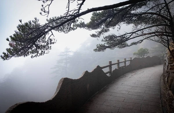 Natuurlijke Wandeling Weg Huangshan Berg Het Winterseizoen Het Een Van — Stockfoto