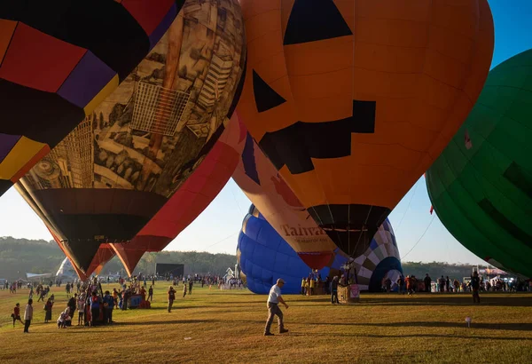 CHIANG RAI, THAILAND FEBRUARY 14, 2020 Singha Park Chiang Rai Uluslararası Balon, Singha Park 'taki uluslararası balon gösterisi, Sevgililer Günü' nün özel kutlaması. 
