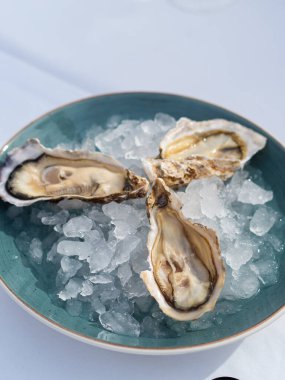 Taze deniz ürünleri. İstiridyeler buzla kaplı bir tabakta yatıyor. Hassasiyet. Restoran ve kafe menüsü. Beyaz masa örtüsü. Bir restoran. Mavi tabak. Taze istiridye. Sıcak yaz. Deniz ürünleri servisi..