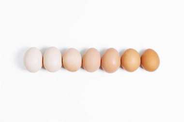 Beyaz arka planda arka arkaya yedi yumurta bırakılır. Yumurtalar en karanlıktan en açık renge göre sıralanır. Renk farkı. Omlet için gerekli malzemeler. Çiftlik yumurtaları. Farklı renkte yumurtalar.