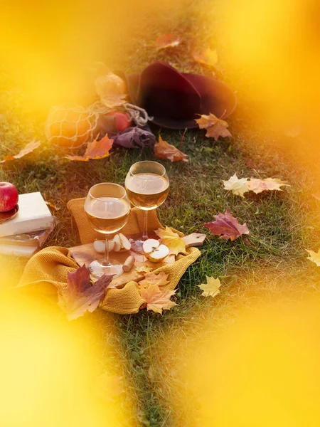 Picknick Der Natur Zwei Gläser Mit Weißwein Auf Einem Holzbrett — Stockfoto