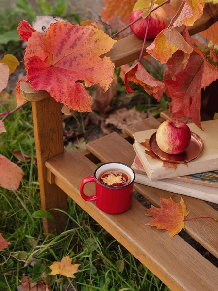 Foglia Gialla Acero Galleggia Una Tazza Rossa Con Caldo Tazza — Foto Stock