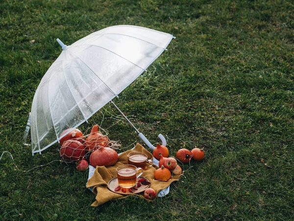 Two Mugs Hot Tea Pumpkins Apples Placed Transparent Umbrella Cloth — Stock Photo, Image