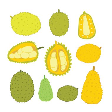 Elle çizilmiş kroki doodle tasarım öğeleri yaz Gıda sağlıklı yaşam vektör illüstrasyon izole beyaz arka plan üzerinde egzotik tropik meyve Jackfuit ayarla