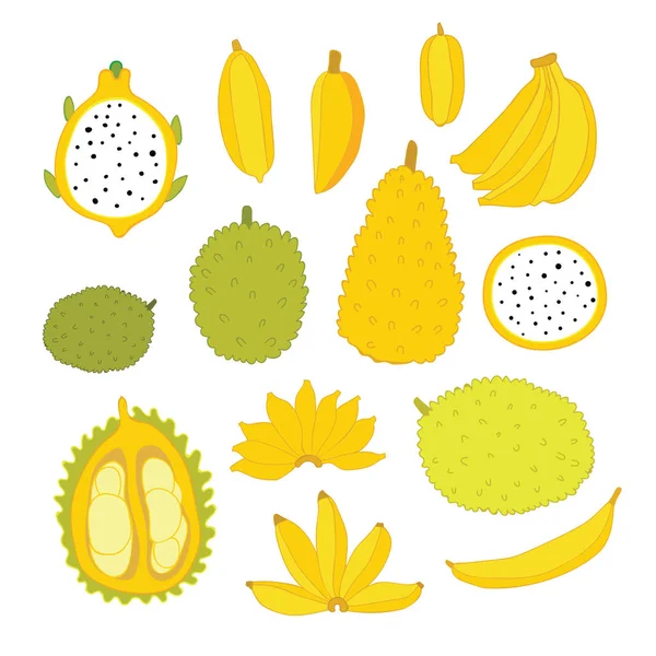Exotiska Färgglada Tropiska Frukter Samling Isolerade Vit Bakgrund Jackfrukter Banan — Stock vektor