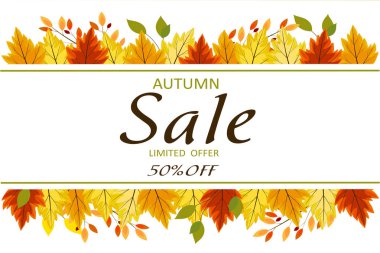 Sonbahar indirimi% 50 'ye kadar, sınırlı bir teklif. Sonbahar indirimleri için afiş. Parlak yapraklar, dallar bir kolajda toplanır. Vektör yatay illüstrasyonu.