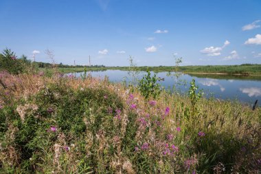 Çernobil nükleer enerji santralinin serinleme göleti, radyoaktif su, Ukrayna 'da yaz mevsimi yasaklama bölgesinde.