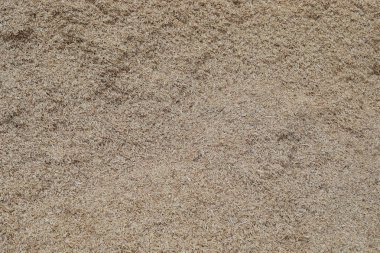 kabuğu bazı meyve veya tohumları kuru dış kaplama.