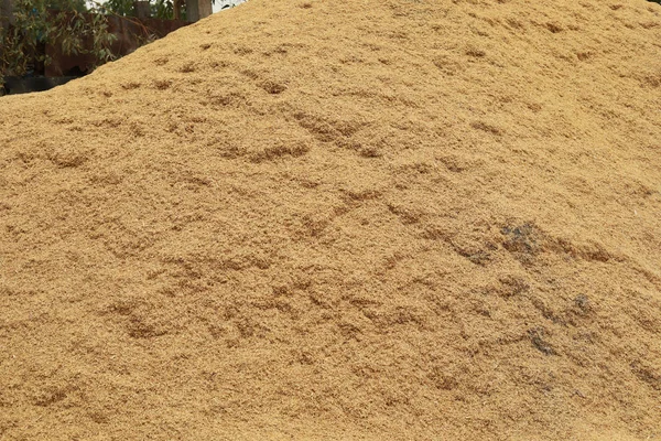 Cáscara Cubierta Exterior Seca Algunos Frutos Semillas — Foto de Stock