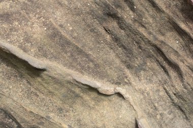 Kumtaşı siltstone doku arka plan