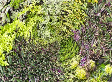 Yeşil çiçekler duvar arka planı için