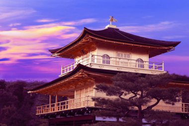 Kinkakuji Tapınağı Altın Köşk, Kuzey Kyoto, Japonya
