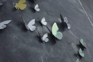 Kelebekler beton duvar