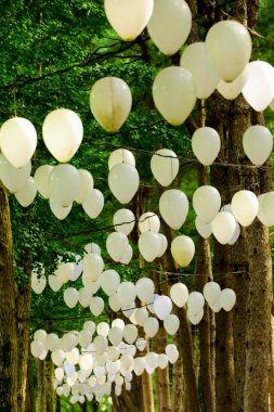 Namisum (namı ada), Chuncheon, Güney Kore ağaçta asılı balonlar