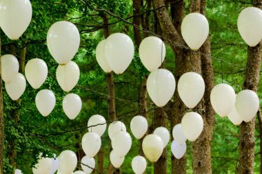 Namisum (namı ada), Chuncheon, Güney Kore ağaçta asılı balonlar
