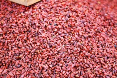 Herb tohum veya lezzet, gıda, ilaç veya parfüm için kullanılan çiçekler