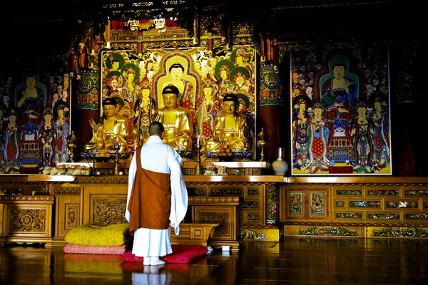 Buddhism Monk Praying Front Buddha Image Haedong Yonggungsa Temple — Stock Photo, Image