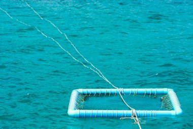 Pvc boru float denizde yapılan şamandıra