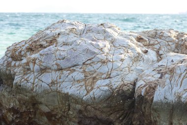 Taş veya Deniz yüzeyinin altında veya üstünde taşlar.