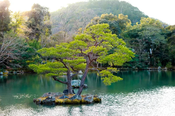 Λιμνούλα Στον Κήπο Πέτρινο Ιαπωνικό Στυλ — Φωτογραφία Αρχείου