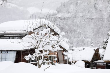 Eski Japon ev ile kar üzerinde çatı, Japonya