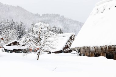 Eski Japon ev ile kar üzerinde çatı, Japonya