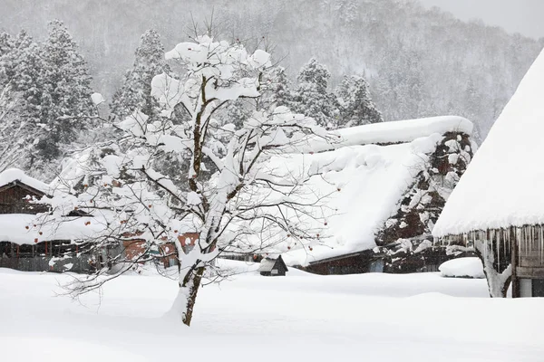 在屋顶上有雪的古老的日本房子 — 图库照片